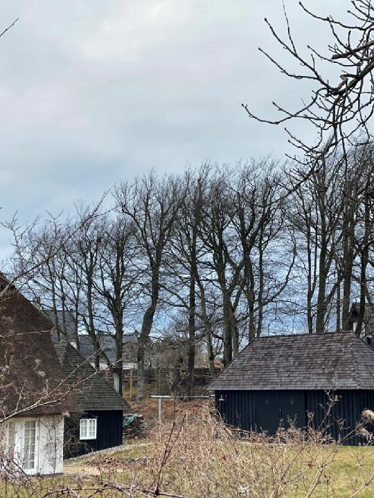 Tina Brøndum Kristjánsson