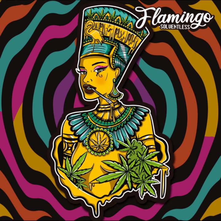 Flamingo Solventless