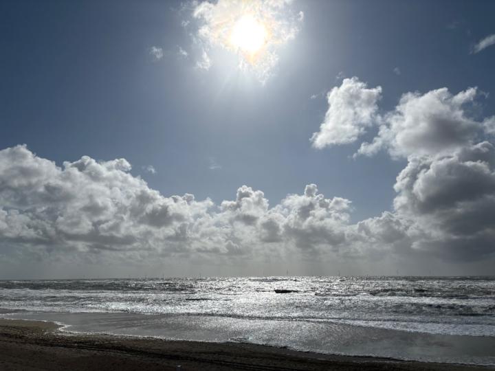 Elke Druffel