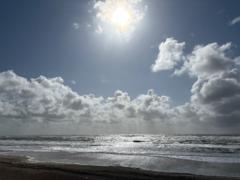 Elke Druffel
