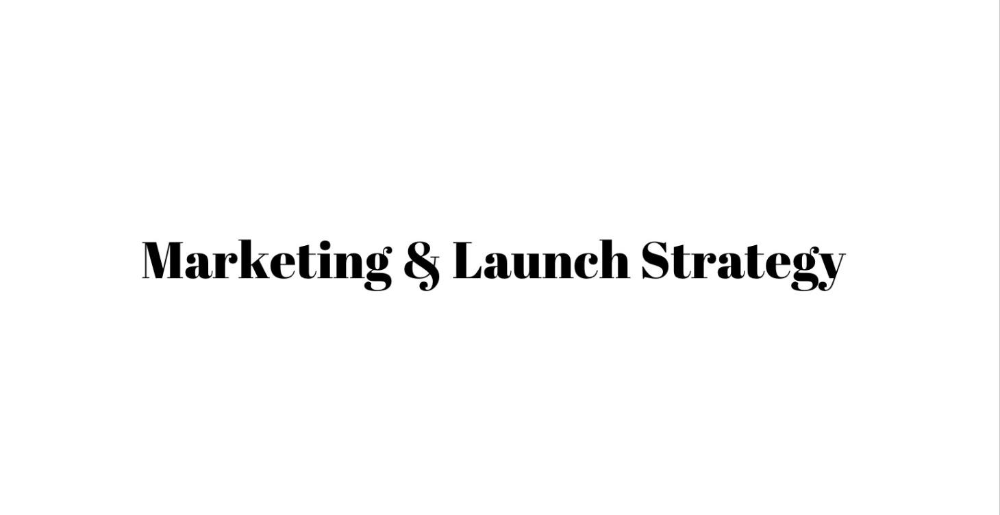 Marketing & Launch Strategy