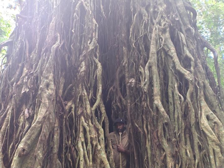Bundi Kaburu