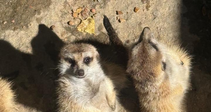 There’s always an Answer