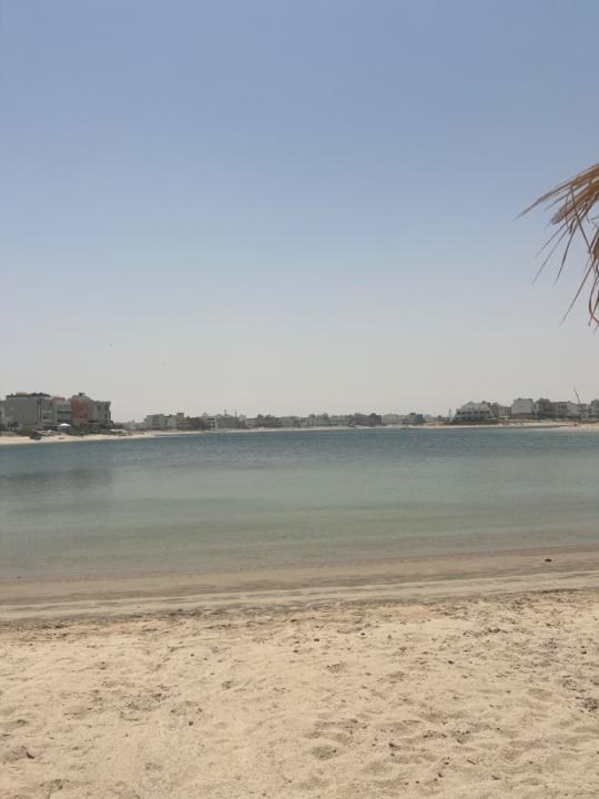 Dalal Alturairi