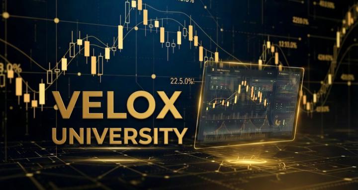 Velox University