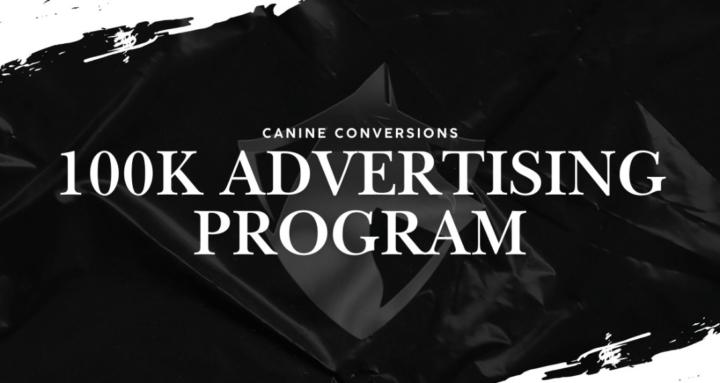 100k Advertising Program
