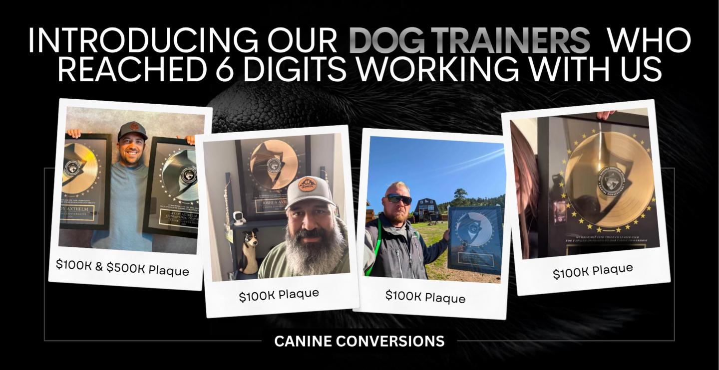 100k Advertising Program