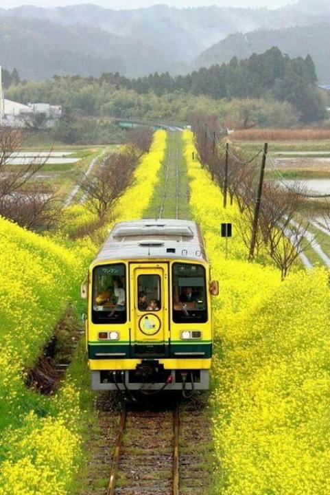 Chuyến Tàu Cuộc Đời Không Bán Vé Khứ Hồi