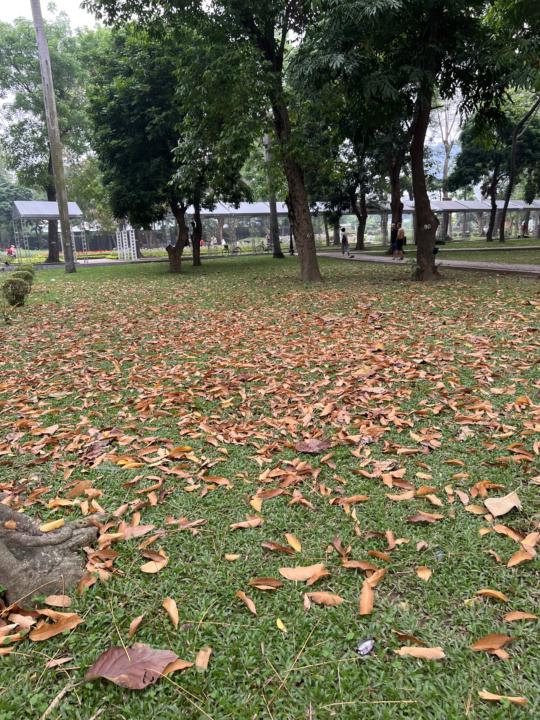 TOPIC: QUYẾT ĐỊNH NHỎ, THAY ĐỔI LỚN - BẠN ĐÃ THỬ CHƯA?