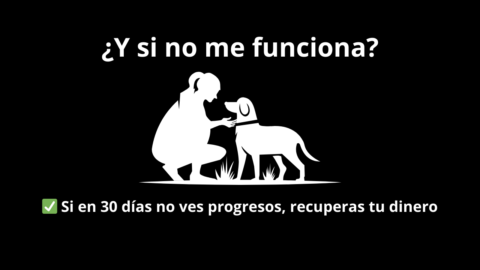 La Cima Canina gallery image