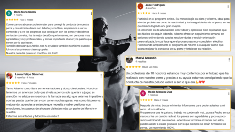 La Cima Canina gallery image