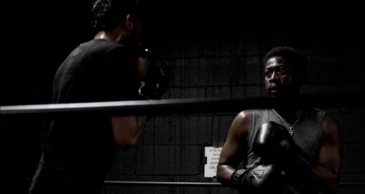 Healthyreps martial arts