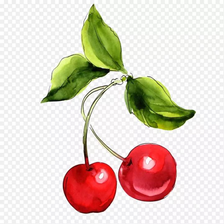 Cherry Wu