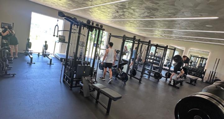 Skool’s Daily Wellness CheckIn