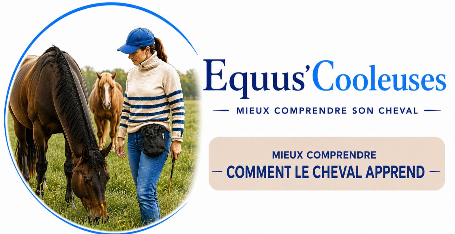 Comment le cheval apprend 📖