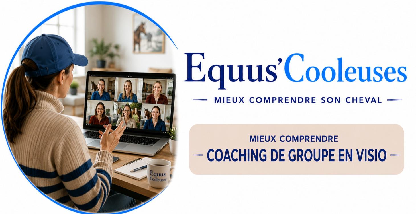 Coaching de groupe