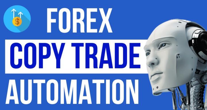 Forex Copy Trader