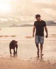 Armando Brito