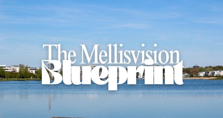 Mellisvision Blueprint