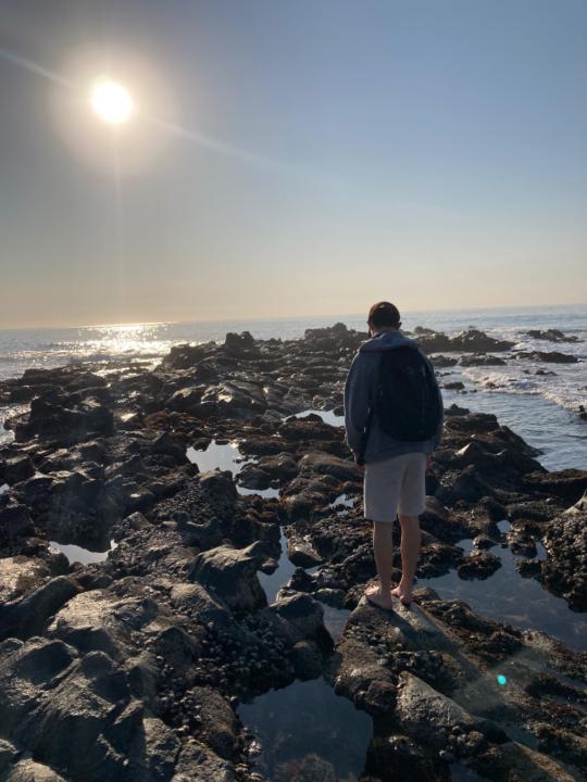 Riard Botha