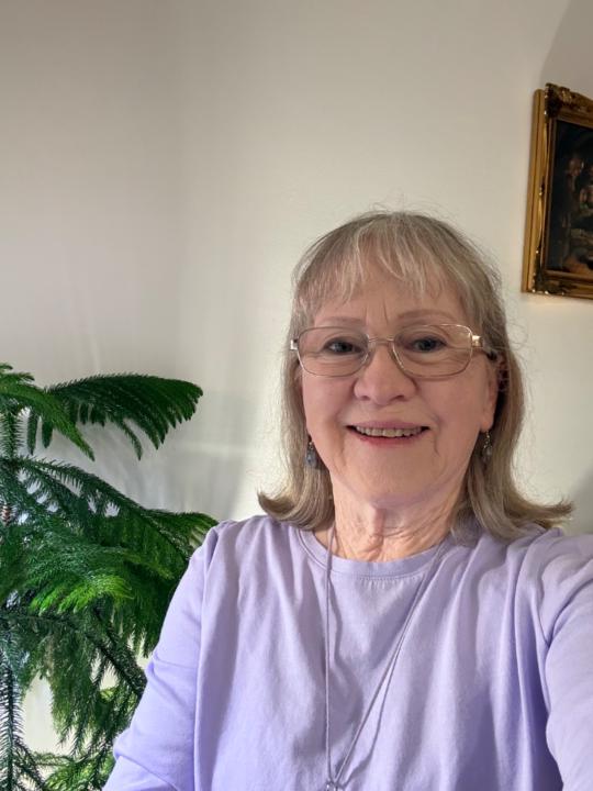 Diana L Collins