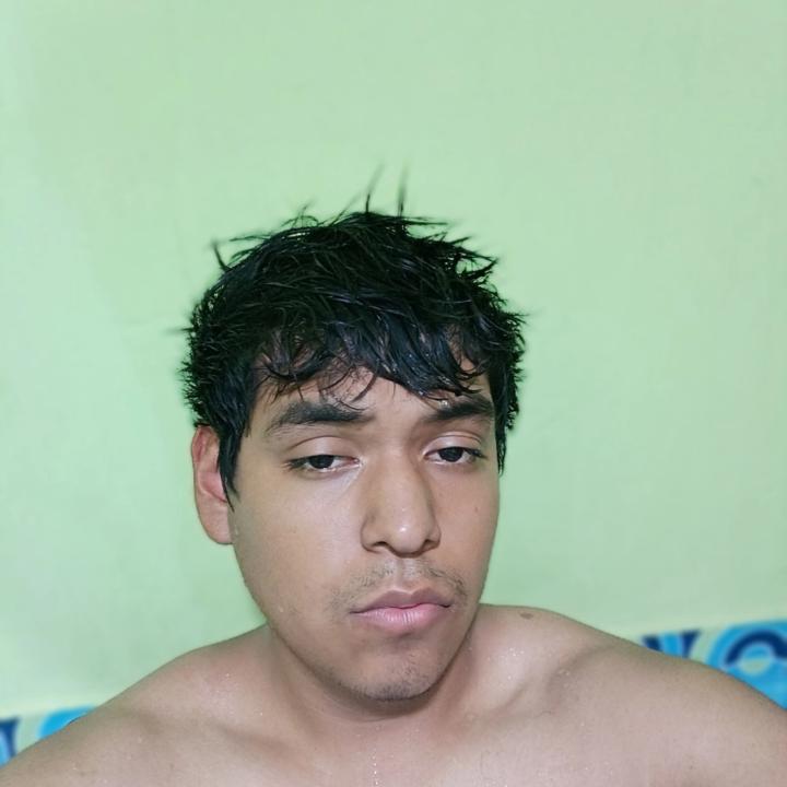 Luis Yarlequé