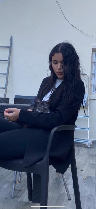 Ines Sl