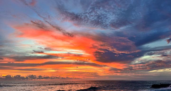 The Aluna Collective