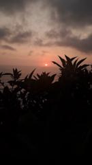 Alexander Valenzuela