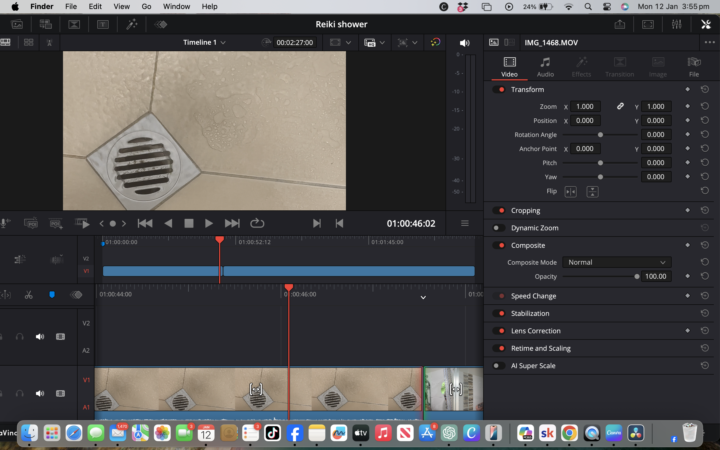 Very new to DaVinci resolve Help