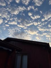 Hatice Asel Öztürk