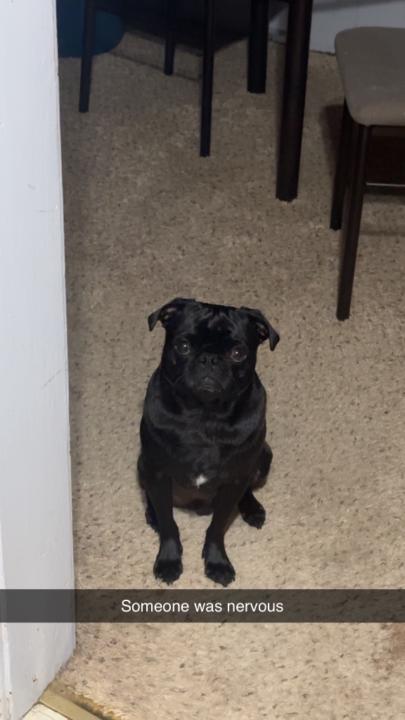 Jake Deitering