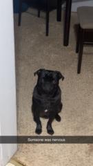 Jake Deitering