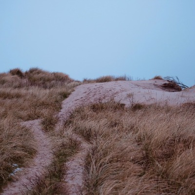 Barbara Alexandersen