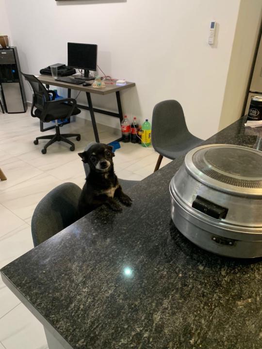 Fátima Diaz Camacho