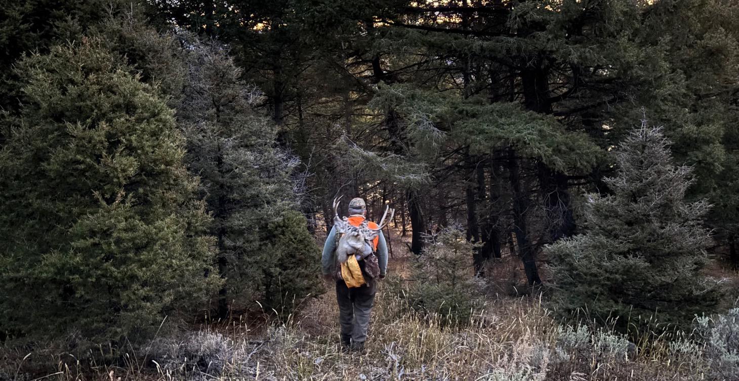 Overall Introduction