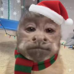 Gabriel Sánchez Jacinto