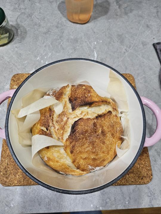 First sourdough! 