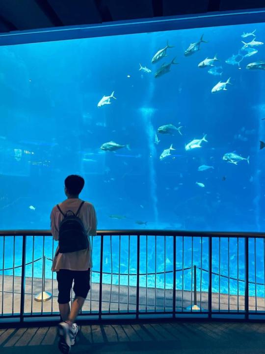Khoa Nguyễn