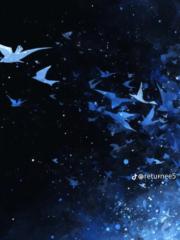 Khánh Ngọc Trần