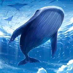 Giant Whale Capital Chris