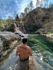 José Jiménez Giménez