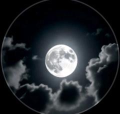 Abderrahmane Hachichi