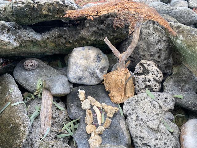 🌿⚡ Sacred Circle Sharing: My Thor Altar by the Coast ⚡🌿