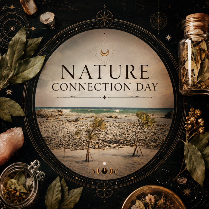 🌿 Nature Day | Small Leaf, Big Magic