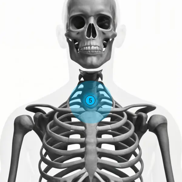 The Throat Chakra
