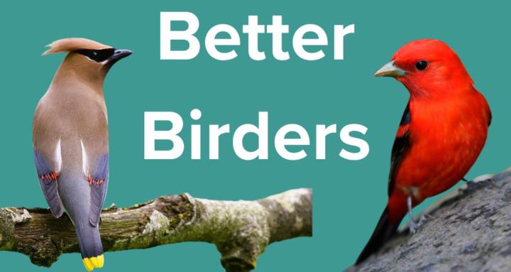 Better Birders