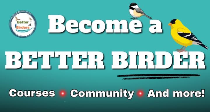 Better Birders