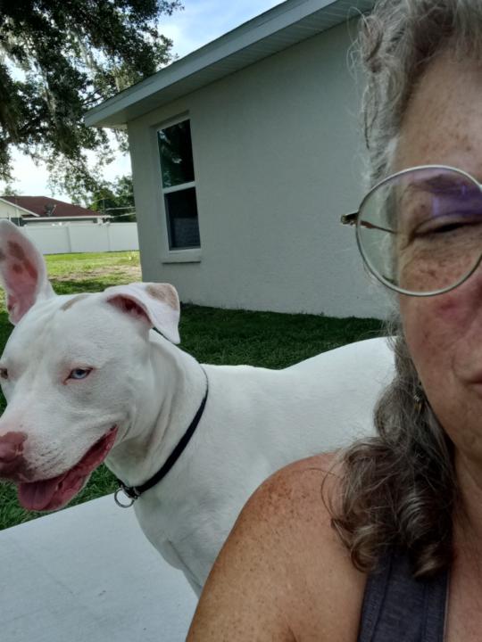 Mary Ann Nivens