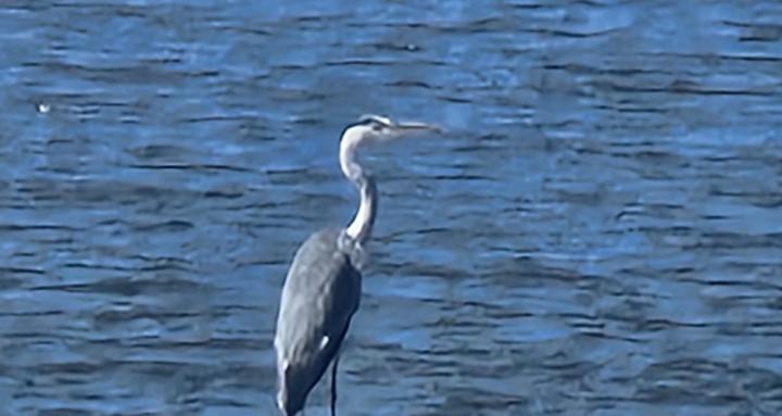 Flash Forward - Life With PTSD